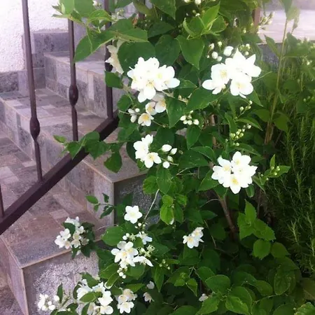 Apartment Anna Rogoznica (Sibenik-Knin)