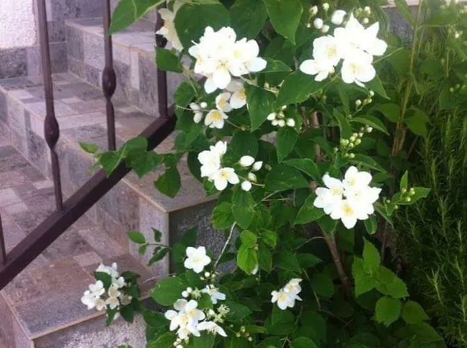 Daire Anna Rogoznica (Sibenik-Knin)